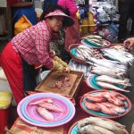 Fish market small 150x150